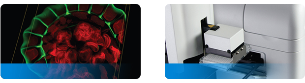 微孔板檢測(cè)與細(xì)胞分析解決方案