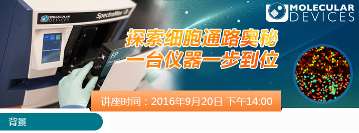 ̽����(x��)��ͨ·�W����һ�_�x��һ����λ