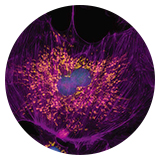 ͨ�^���r�����e�����ֱ���