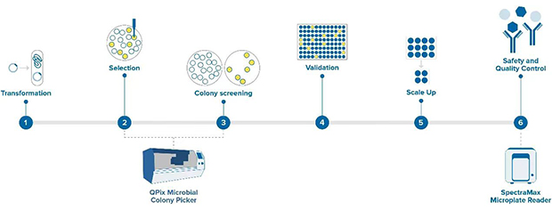 �ϳ�����W��Q����