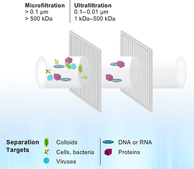 超濾裝置和濾板為分子克隆和 PCR 流程提供更高通量選擇