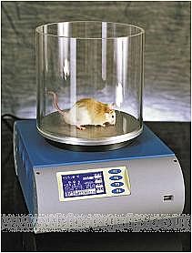 ���ʹ�X�yԇ�x