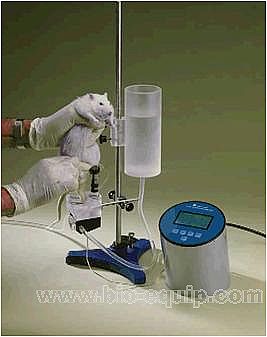 �ݷe�y����