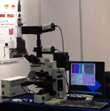 PARISS�߹��V�@΢�D��x