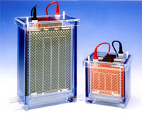 ���Ӿӡ�Eϵ�y(t��ng)