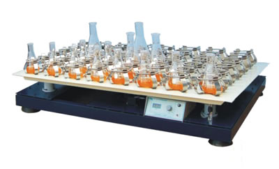 ��������ʎ��