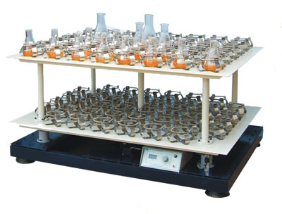 ��������ʎ��