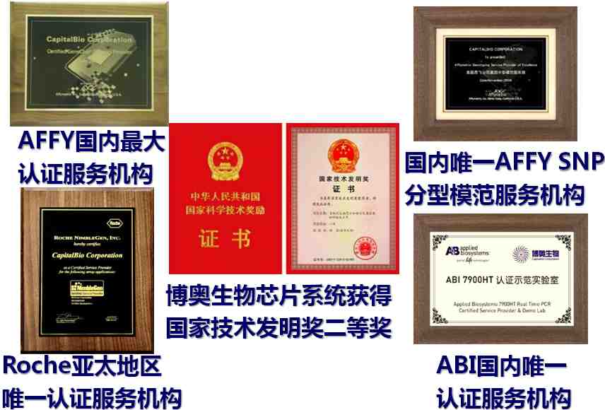 ����оƬ���g����