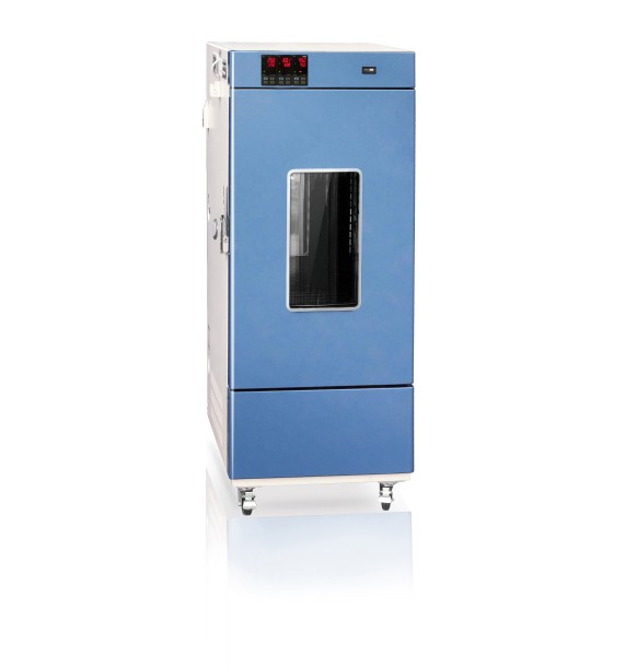 �C��ˎƷ��(w��n)����ԇ���