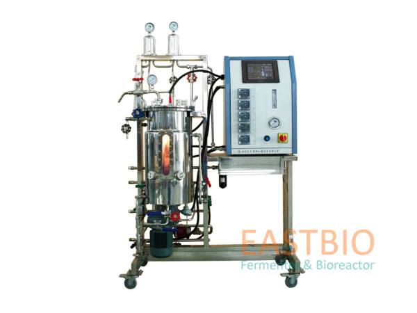 �������費�P䓰l(f��)�͹�