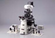 �@΢����(NARISHIGE)ϵ�y(t��ng)