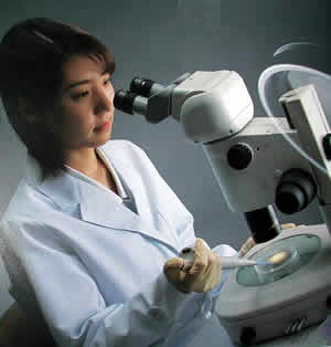 �῵�wҕ�@΢�R