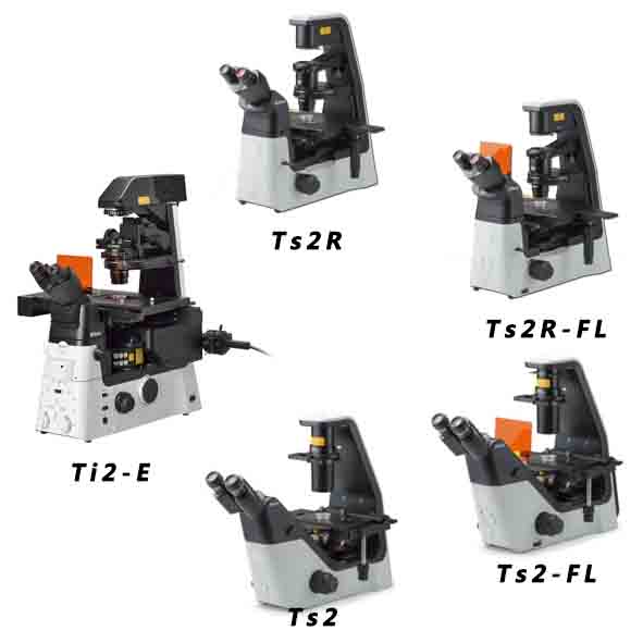 NIKON�����@΢�Rϵ��