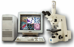 Sperm 2.1���ӷ���ܛ��