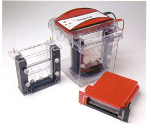 ��ֱ�Ӿ��ӡ�Eϵ�y(t��ng)