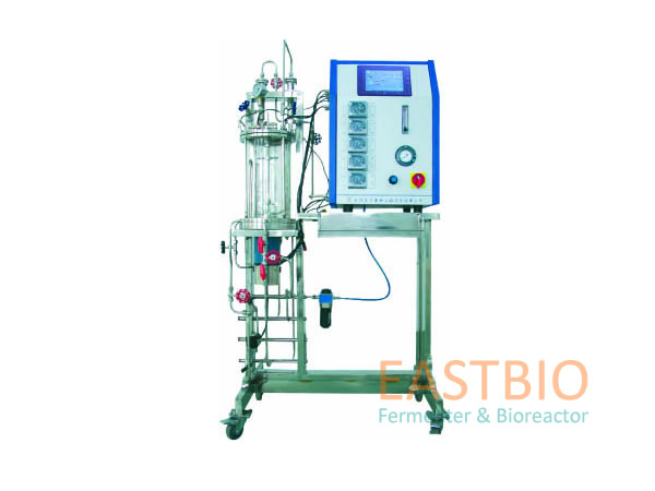 ��������l(f��)�͹�