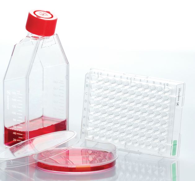 �������B(y��ng)Ĳ�