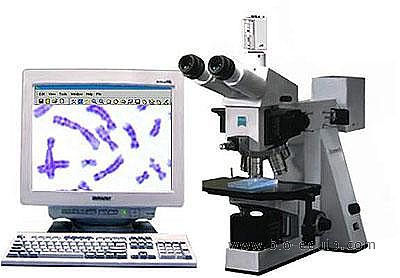 Karyo3.1Ⱦɫ�w�����Ԅ�(d��ng)����ϵ�y(t��ng)