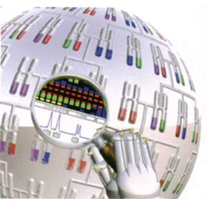 ������Ϣ�W(xu��)ܛ��