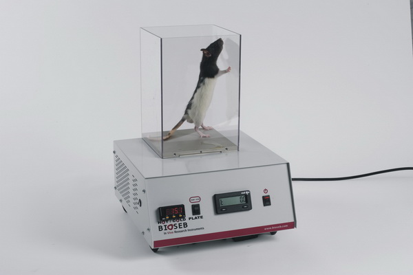 ���P�y(c��)ʹ�xBIO-CHP���m���ڴ�С��