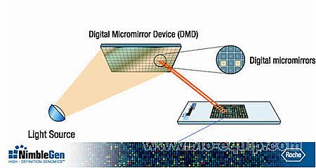 DNA�׻���оƬ/���g����
