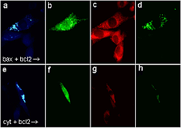 �D�����ϵ�y(t��ng)