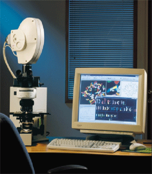 ���VȾɫ�w���ͷ�������վ