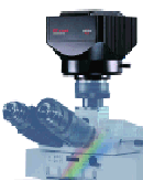 ���м���(sh��)�a���C