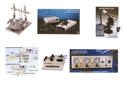 ��(d��ng)�(sh��)�(y��n)�x��