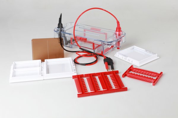 С̖(h��o)ˮƽ�Ӿ�� ����ͨ����