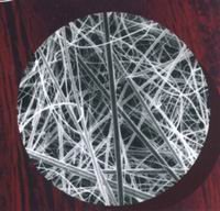 �����w�S�VĤ