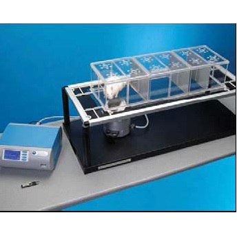 צ�|�X(ju��)�y(c��)ʹ�x37450-6ֻ����/12ֻС��