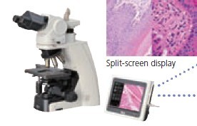 Nikon�@΢��(sh��)�a�zӰϵ�y(t��ng)