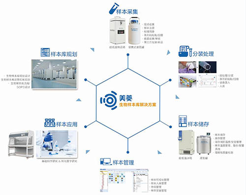 MIBS��������ӱ����Q����