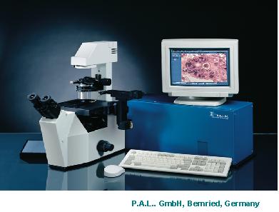 PALM�����@΢�и�ϵ�y(t��ng)