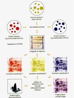 �ɹ����z�Ӿϵ�y(t��ng)