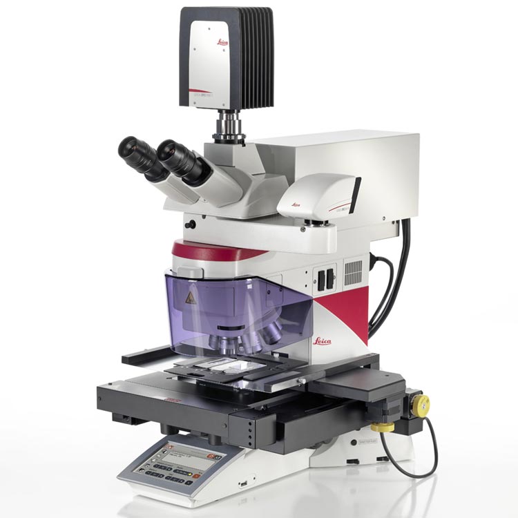 ���ƿ� �����pĿ�����@΢�RDM4 B & DM6 B