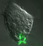 �(x��)������վ