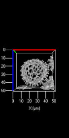 Inside 4D �ľSܛ��