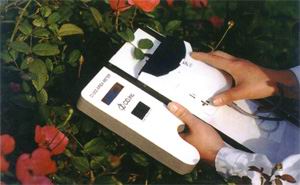 ��������yʽ�~��e�x