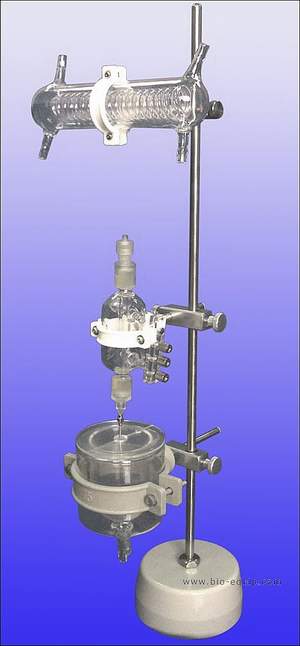 ���KLangendorff�������A�M��