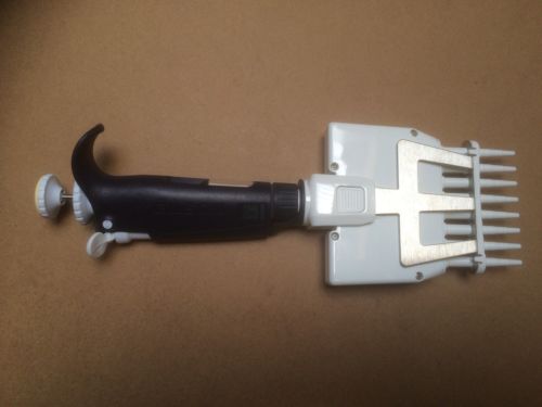 ����Gilson����ɭ �Ә��� ��Һ�� 8���Ř�