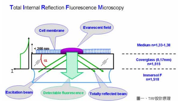 ȫ��(n��i)����Ξ���@΢�R