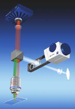 ��žW(w��ng)��ͶӰӰ���s������ϵ�y(t��ng)