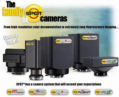 ��CCD(���6400�f(w��n)����)