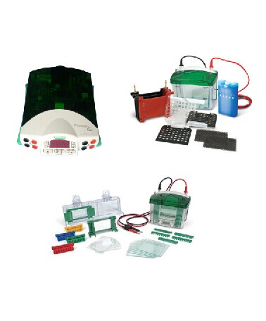 ����(gu��)����Mini-PROTEAN Tetra �Ӿ��