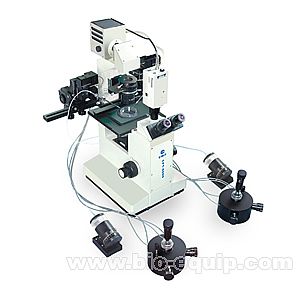 �@΢����ϵ�y(t��ng)