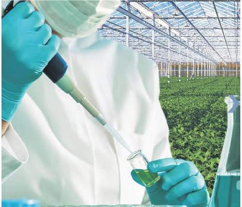 �����˹������