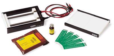 ��늉���늾۽��Ӿ