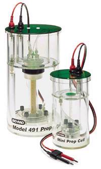 ΢���Ƃ��Ӿ��